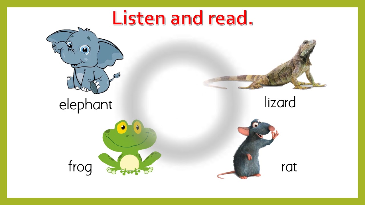 Supermind B1: Unit 3 - Pet Show (Page 34)