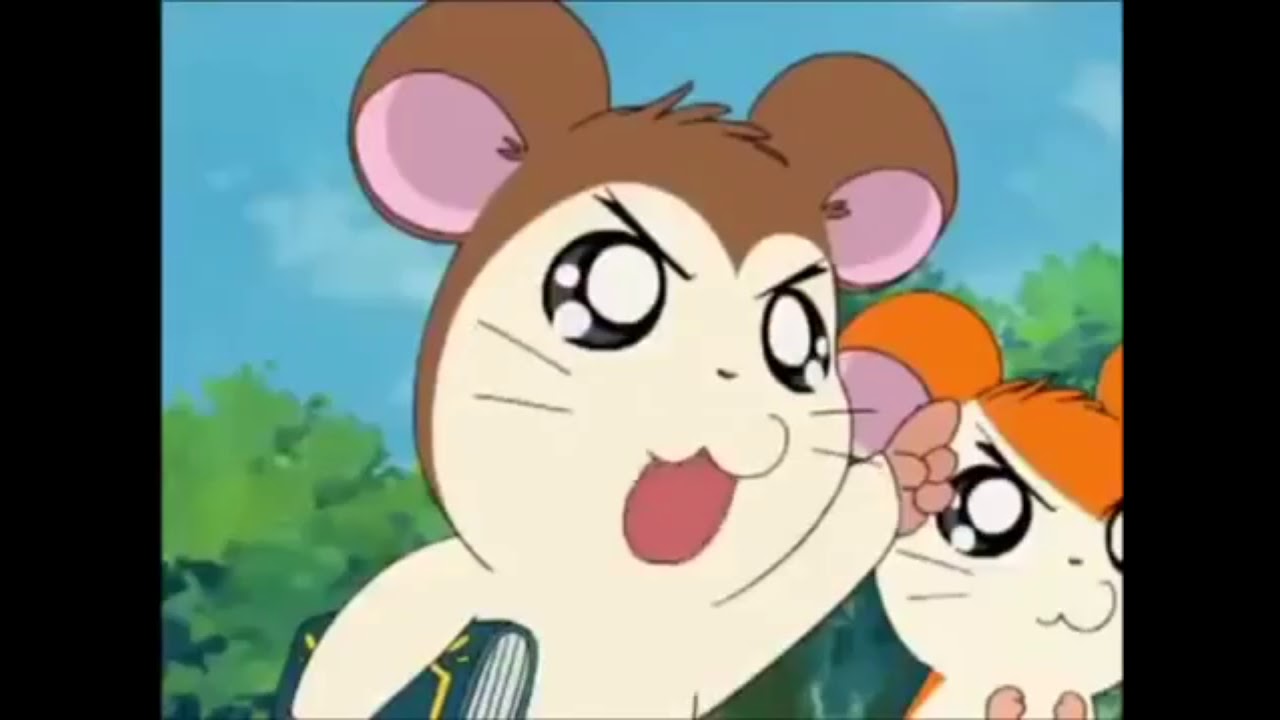 AMv hamtaro fun