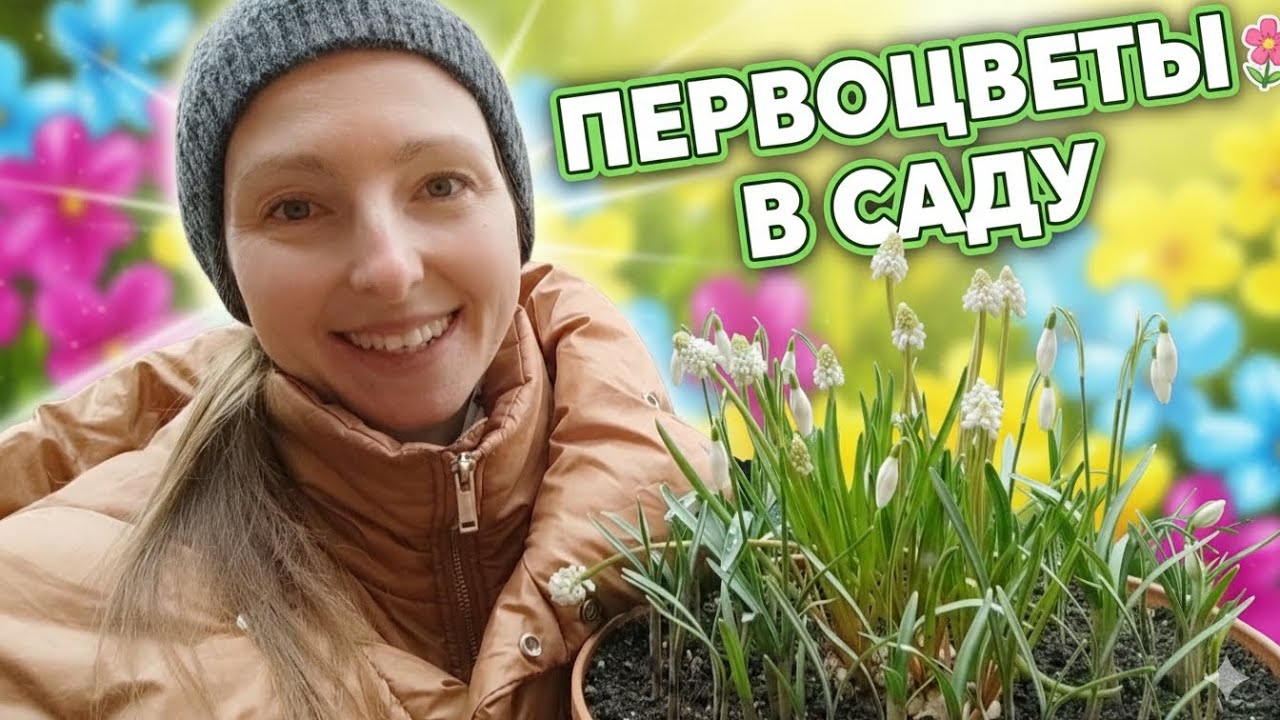 ПЕРВОЦВЕТЫ В САДУ: 7 КРАСИВЫХ ВЕСЕННИХ РАСТЕНИЙ 