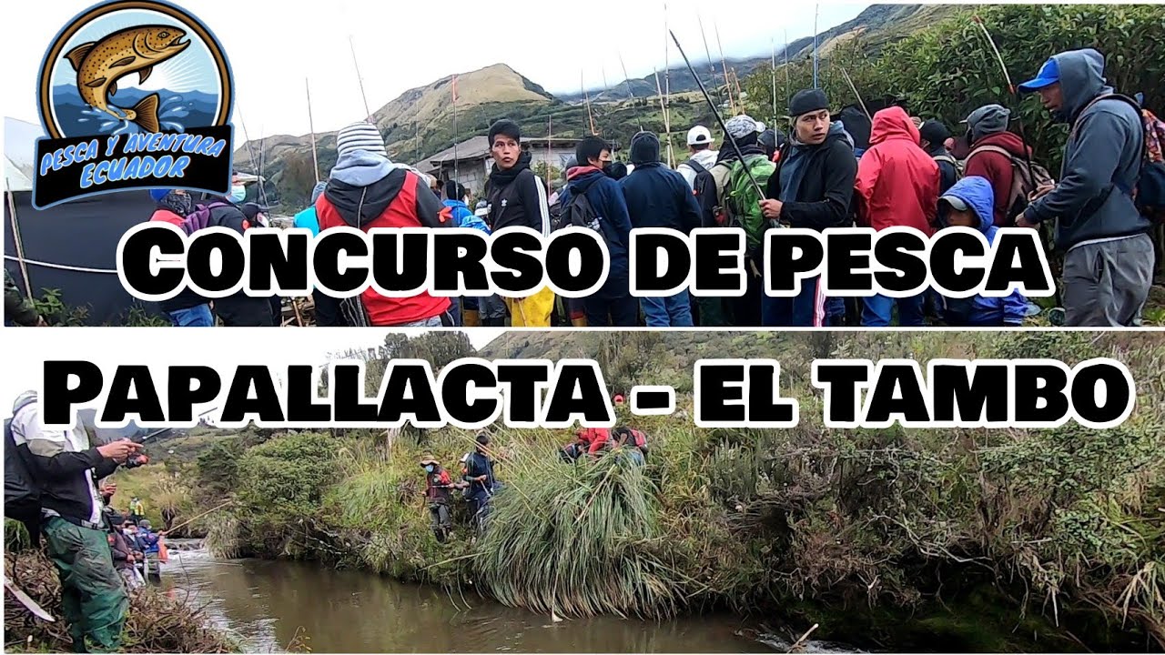 Concurso de Pesca de Truchas en PAPALLACTA - EL TAMBO #Suscribete #trout #PescadeTruchas