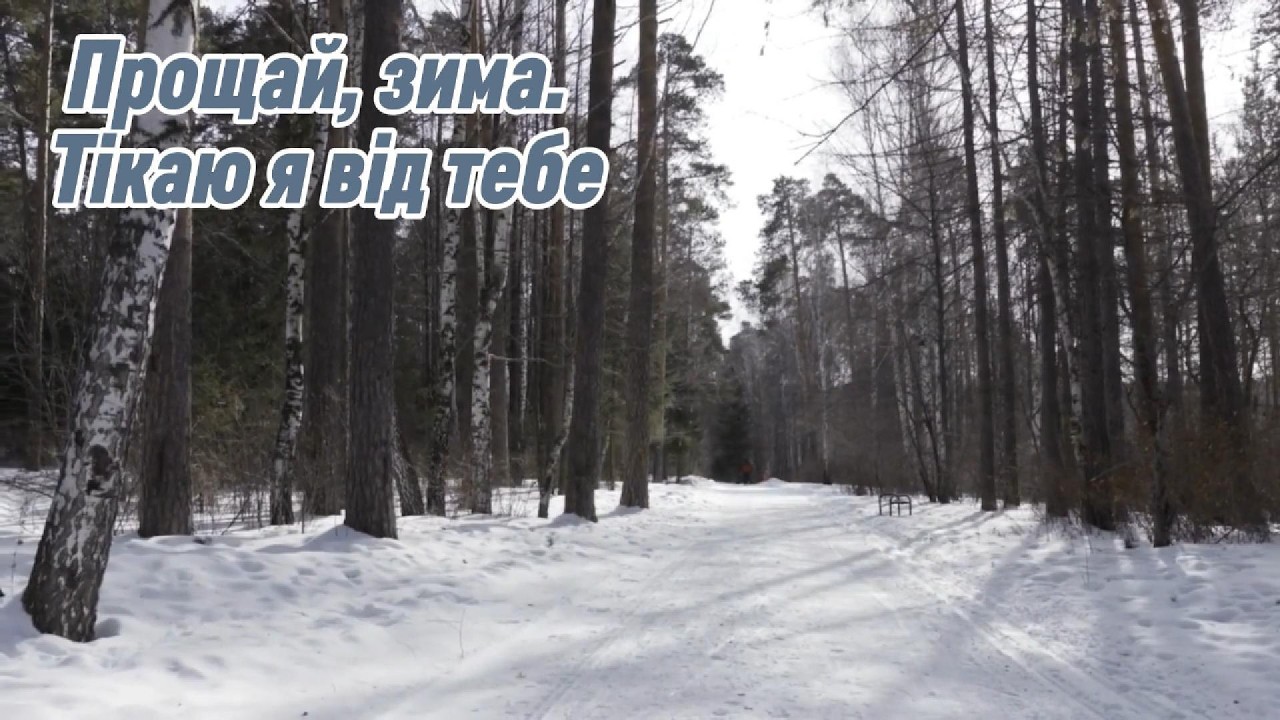 Прощай, зима. Тікаю я від тебе💫Відродження Душі