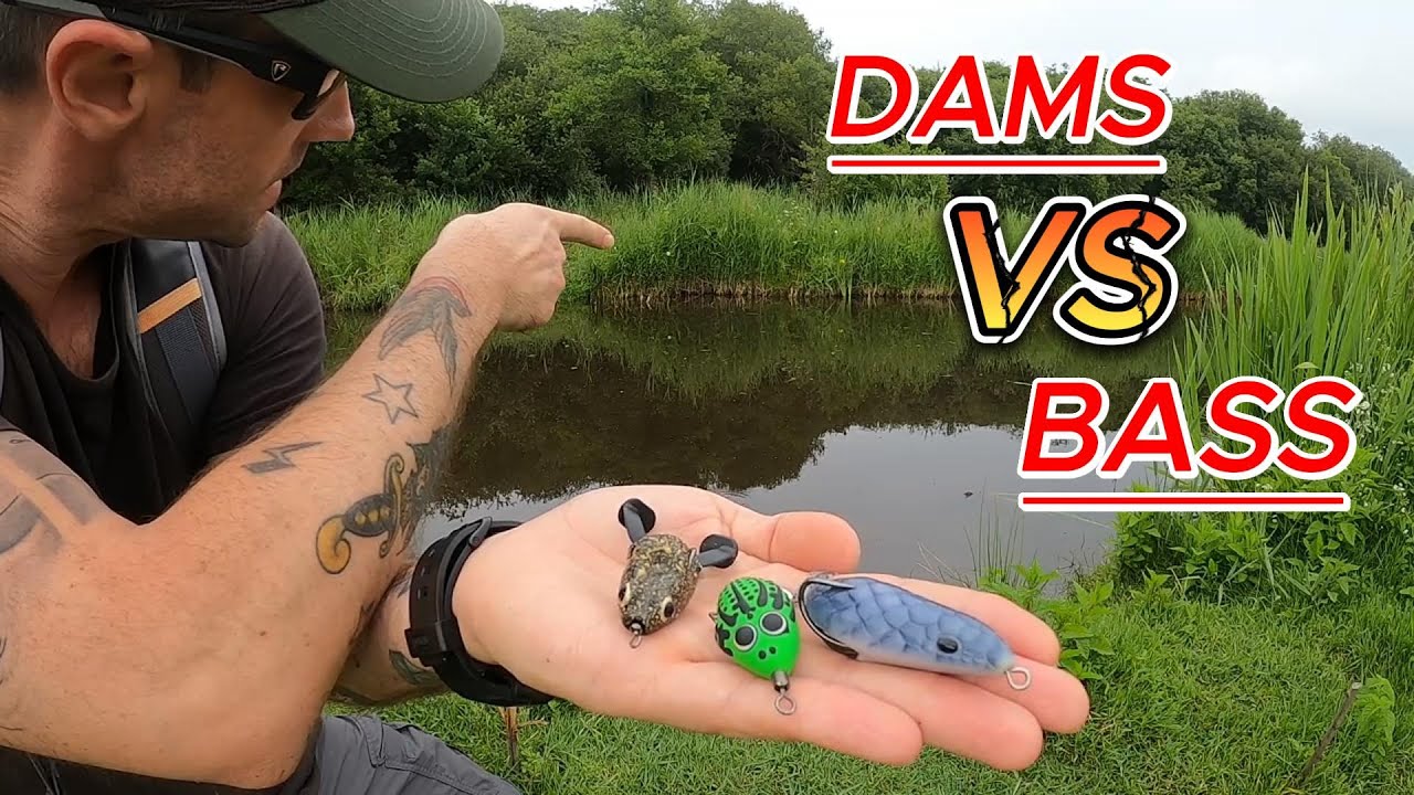 Je teste ces LEURRES ETRANGES sur le Black Bass... ATTAQUES EN SURFACE EN DIRECT !!😲