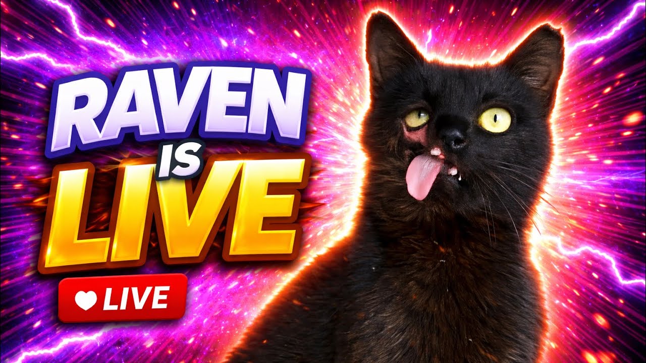 I Am Raven  is live