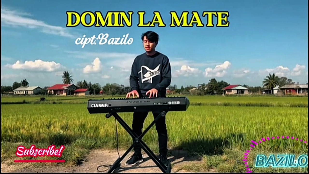 DOMIN la mate