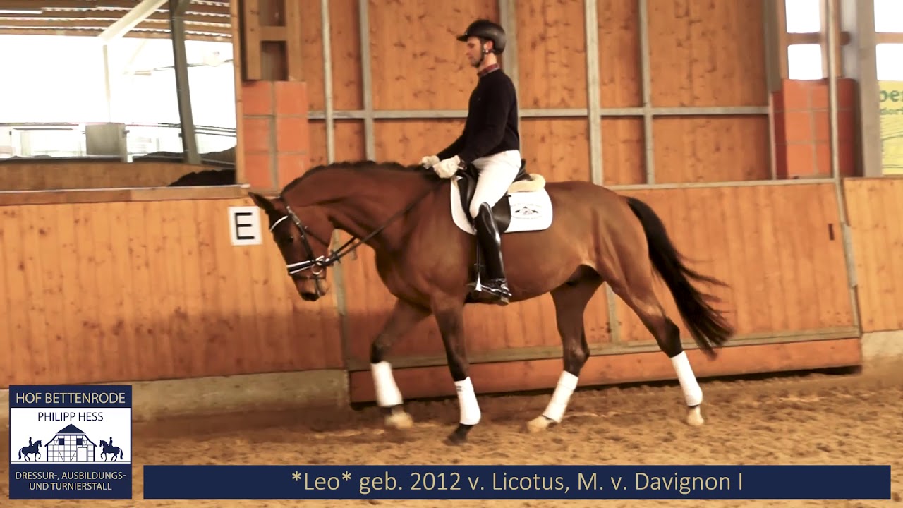 Leo GGA
