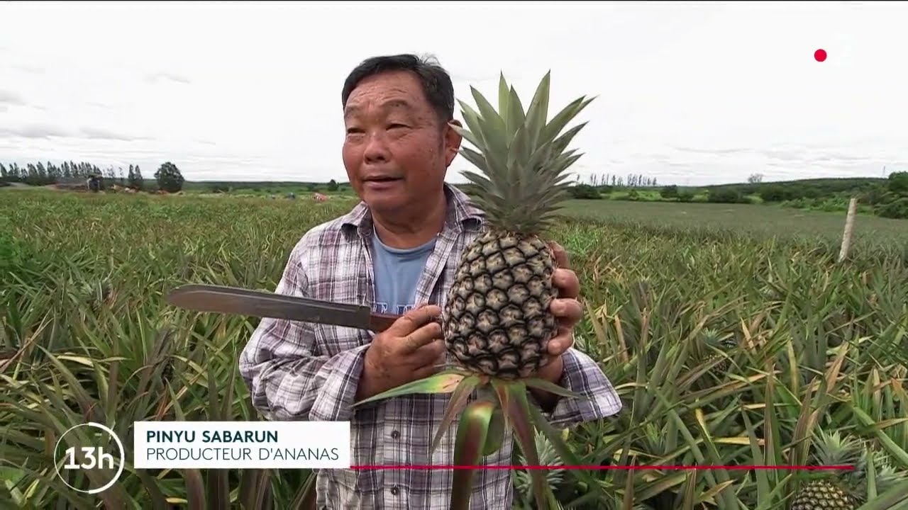 L'ananas, atout gastronomique de la Thaïlande (Reportage France 2)