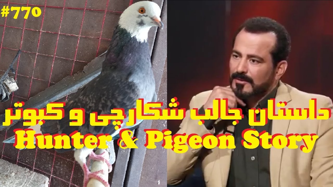 تجربه نزدیک به مرگ یک شکارچی کبوتر - داستانی جالب و اثرگذار Near death experience #کبوتر #عشق #زندگی