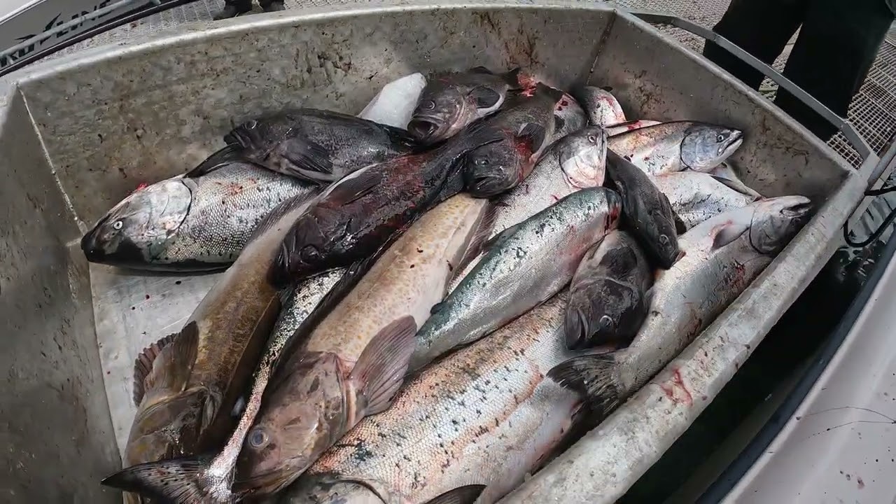 Fishing Winter Harbour - July 2023