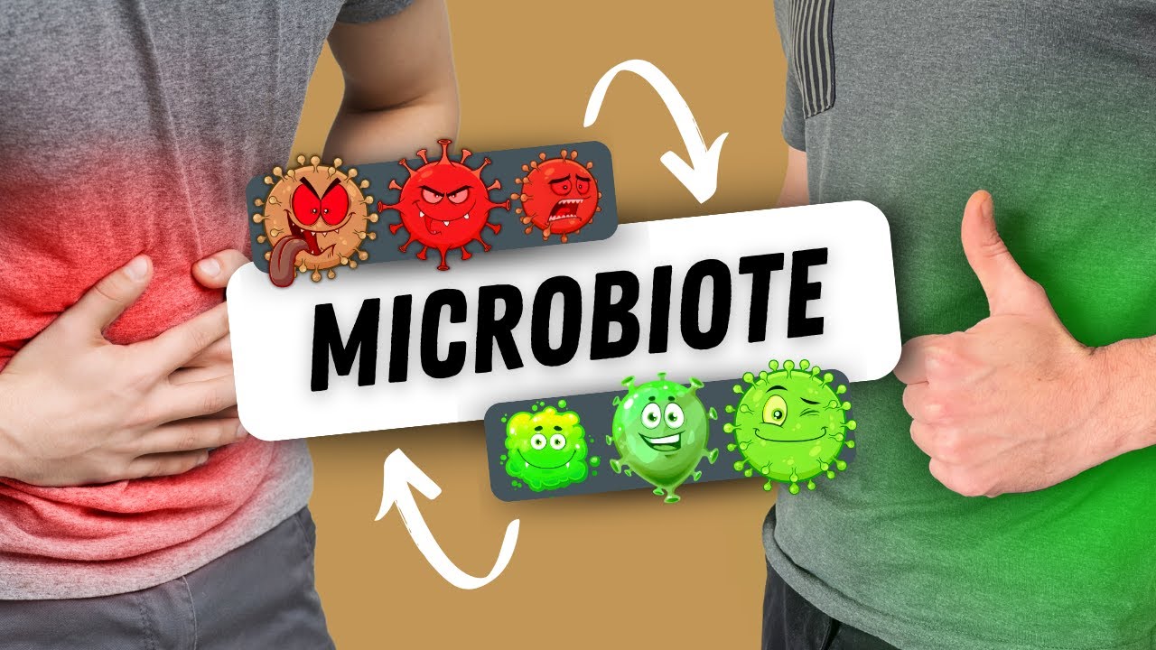 Comment rééquilibrer son microbiote ? 🦠