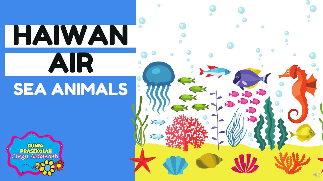 TEMA HAIWAN AIR | PRASEKOLAH | SEA ANIMALS
