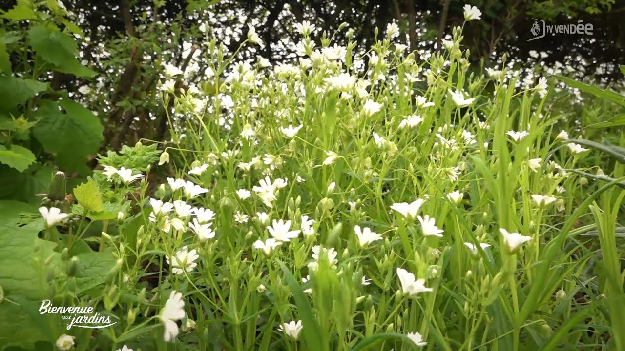 Bienvenue aux jardins - Domaine de L'Auneau