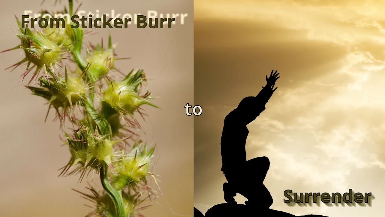 🔥 From Sticker Burr to Surrender | The Lampstand Church | 2026 Dangerous Faith 🔥