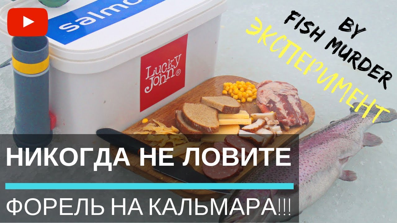 Форель  Ловля на МЯСО, САЛО, КАЛЬМАРА, ХЛЕБ