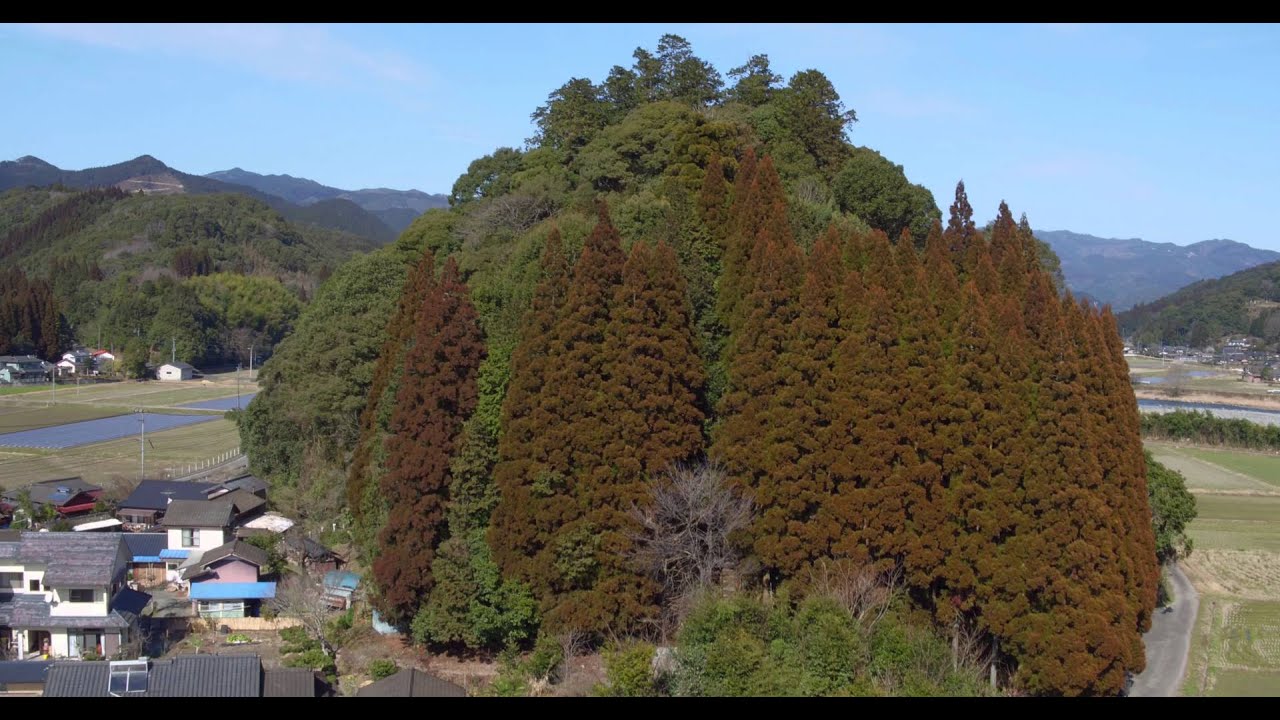 雨宮神社空撮動画
