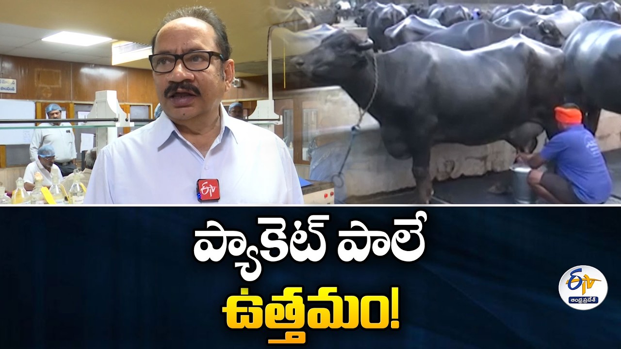 Packet Milk Is Better Than Loose Milk! | Krishna Milk Union Managing Director Interview