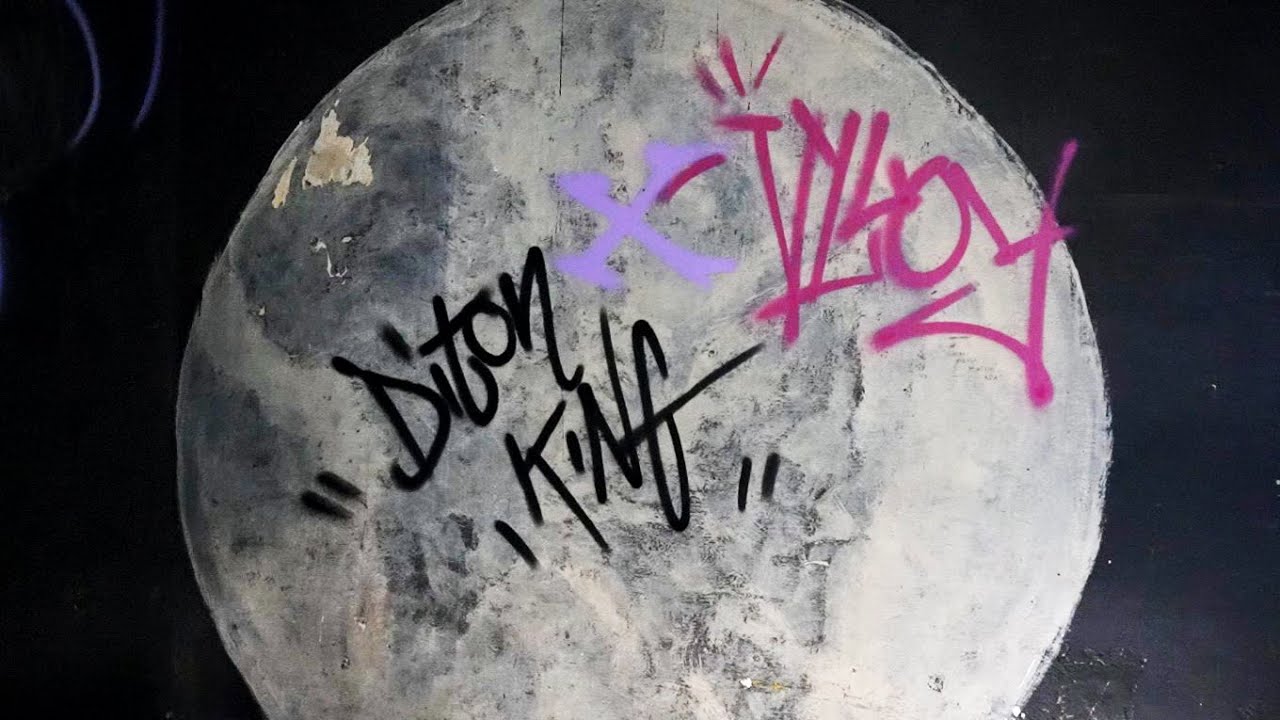Diton King X Vlloy