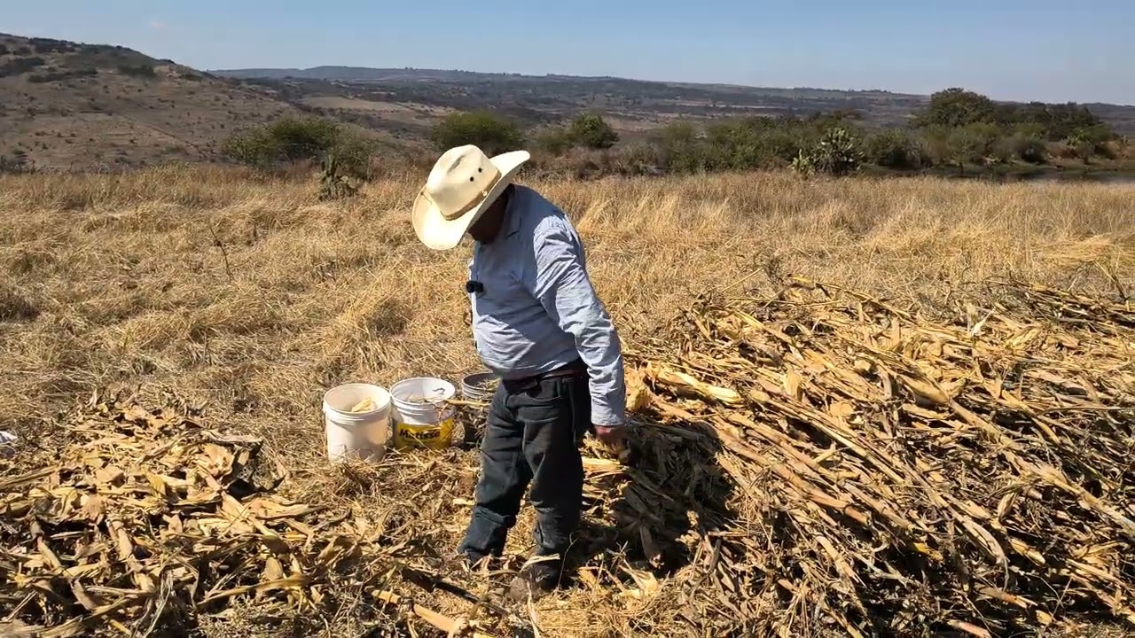 mi tío Chepe piscando