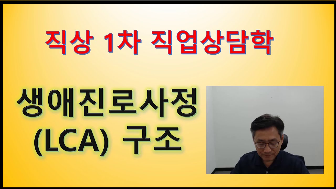 직업상담사 1차대비 생애진로사정(LCA) 구조