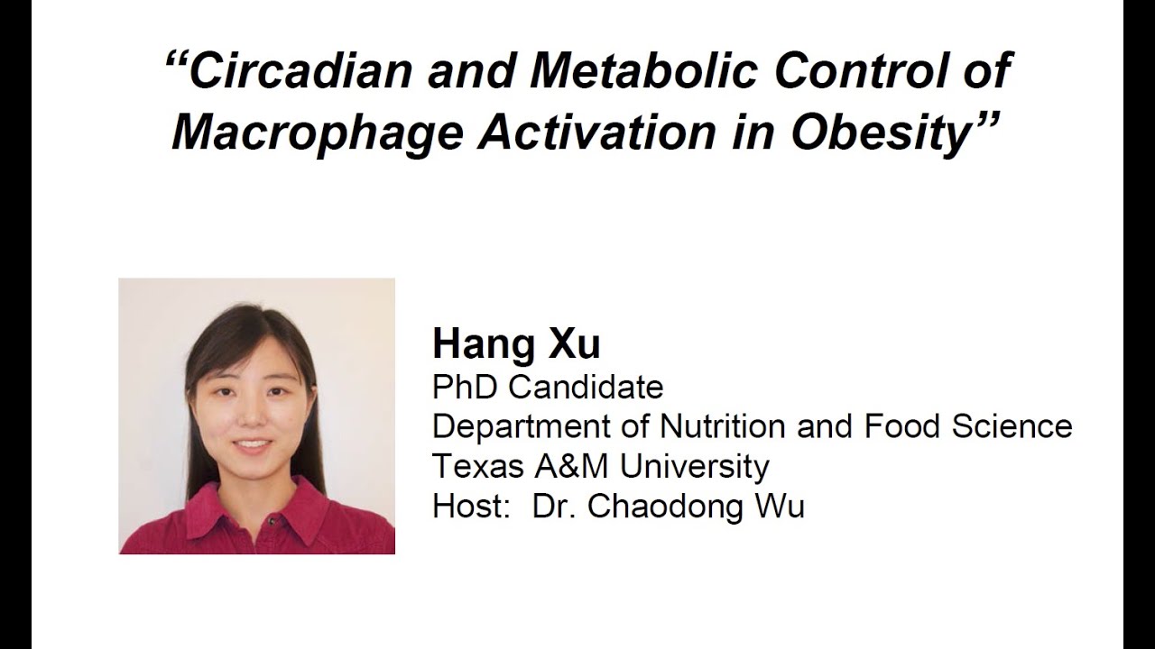 Circadian and Metabolic Control of Macrophage Activation in Obesity
