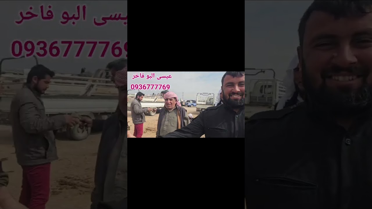 سوق الابقار  والأعلاف في منبج والرقه بيزار العدنانيه يوم الخميس ٣/١٢