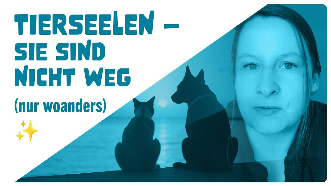 Tierseelen: Abschied, Jenseits & Wiedersehen 🌈