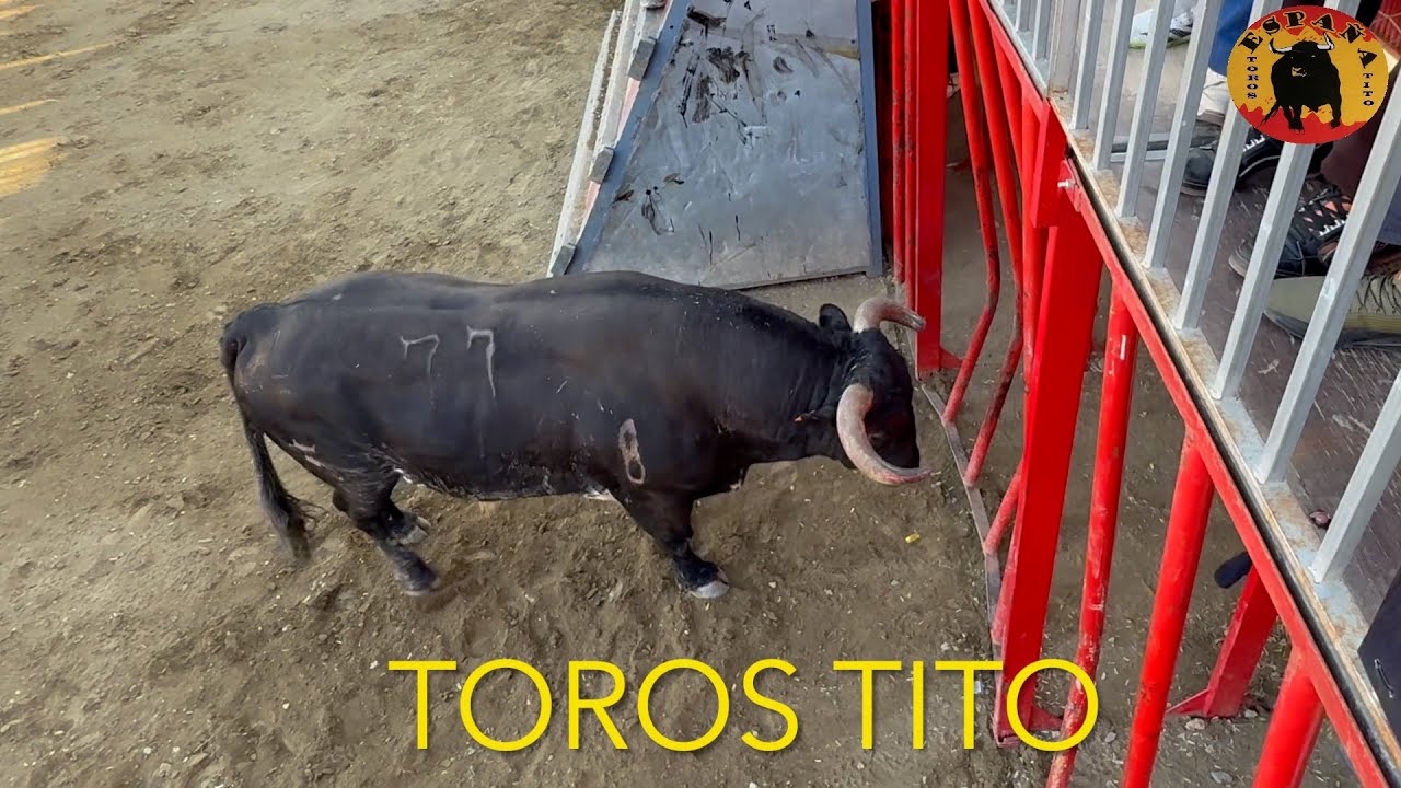 Buena actuación de MARGARITO en SARRION
