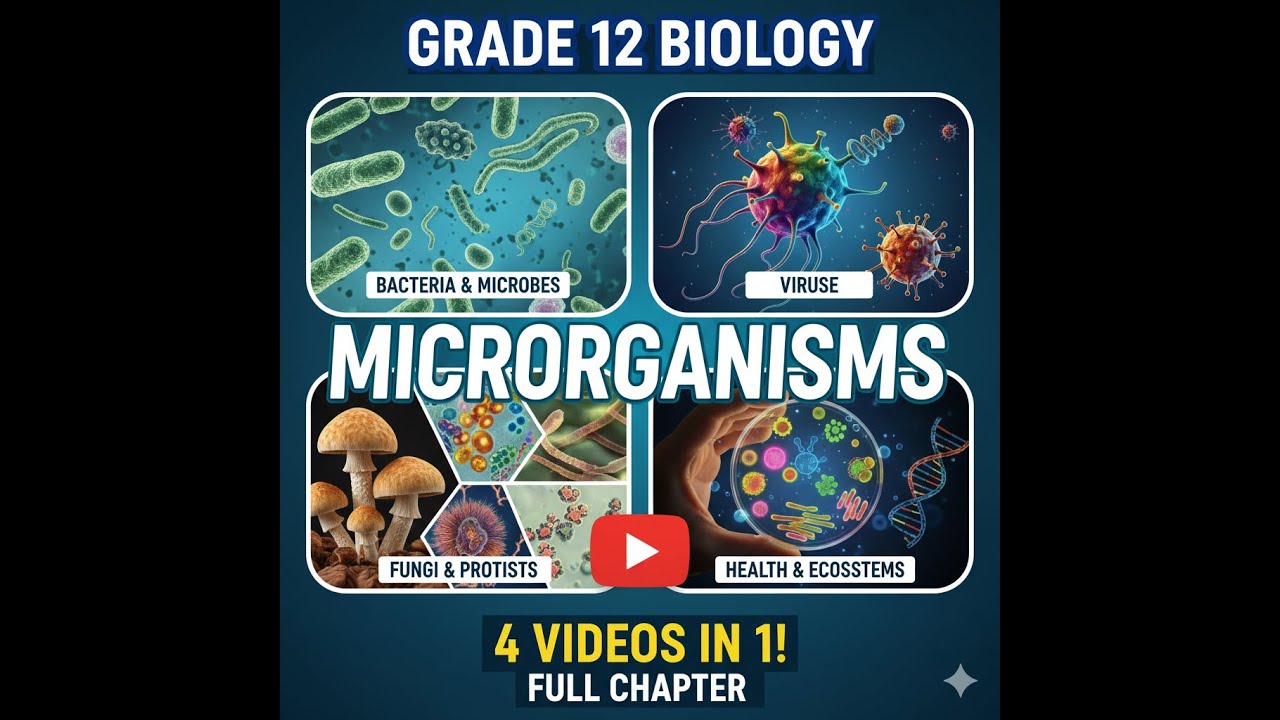 Grade 12 Biology - Unit 2 Microorganisms (Full Chapter) | 4 Videos in 1!