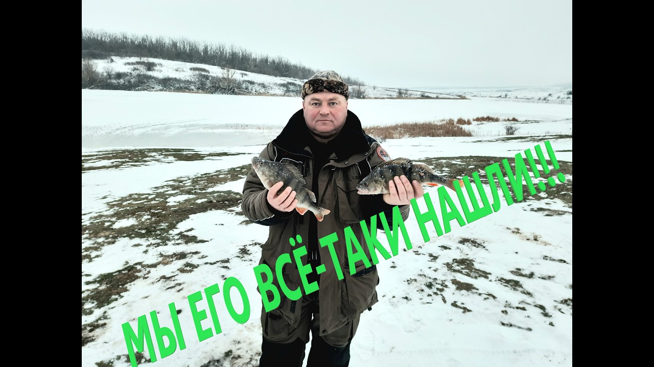 В ПОИСКАХ ХИЩНИКА...