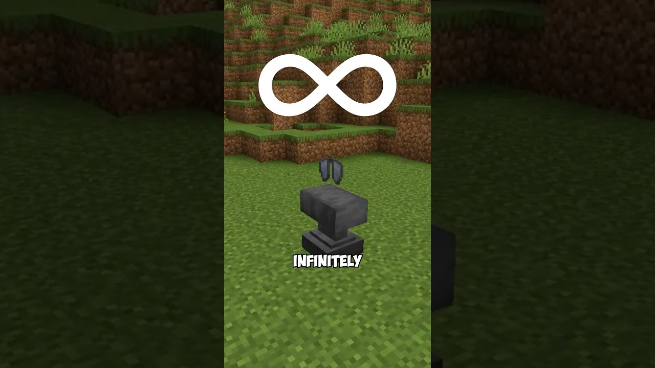Infinite Elytra Trick #minecraft
