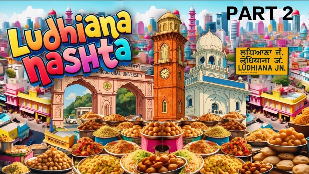 Top Quality Must Try Food in Ludhiana | Branded Punjabi Nashta | Street Food India