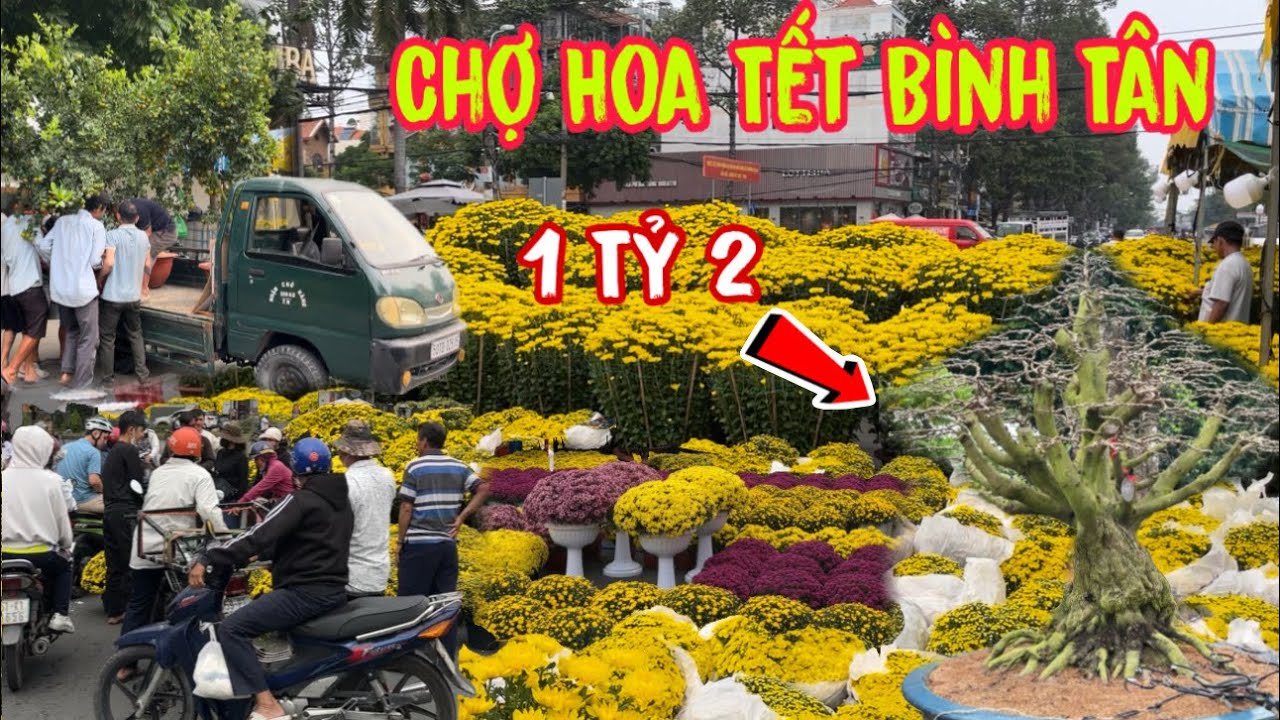 Xuất hiện cây Mai Vàng Xù giá bằng căn chung cư tại chợ Hoa Tết 2026 khiến ai cũng bất ngờ 