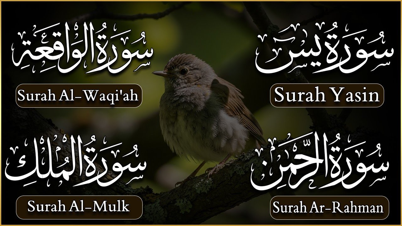 Morning tilawat of Surah Yaseen, Surah Rahman, Surah Waqiah, Mulk ep 00436 #qurantranslation