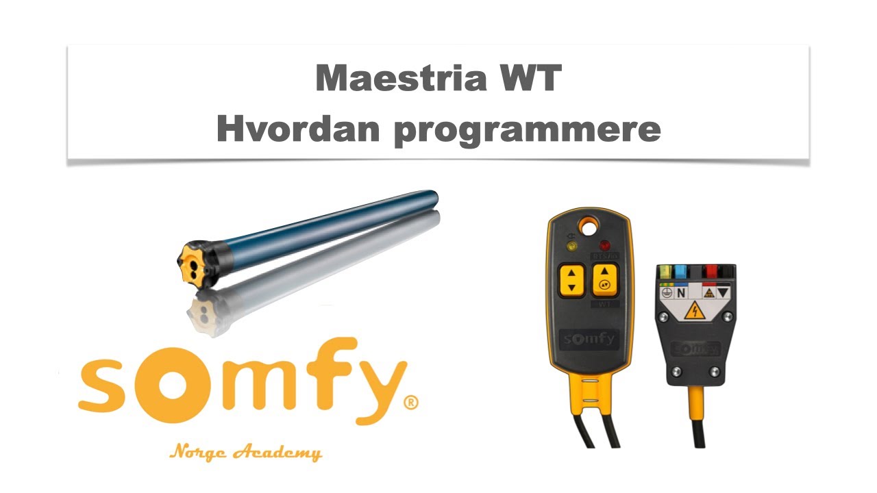 Maestria WT - Programmering