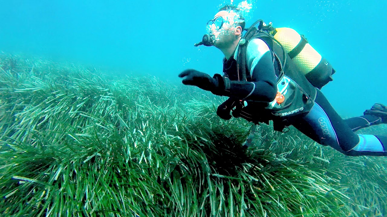 Tauchen auf Mallorca mit MDS Diving School in Cala Serena