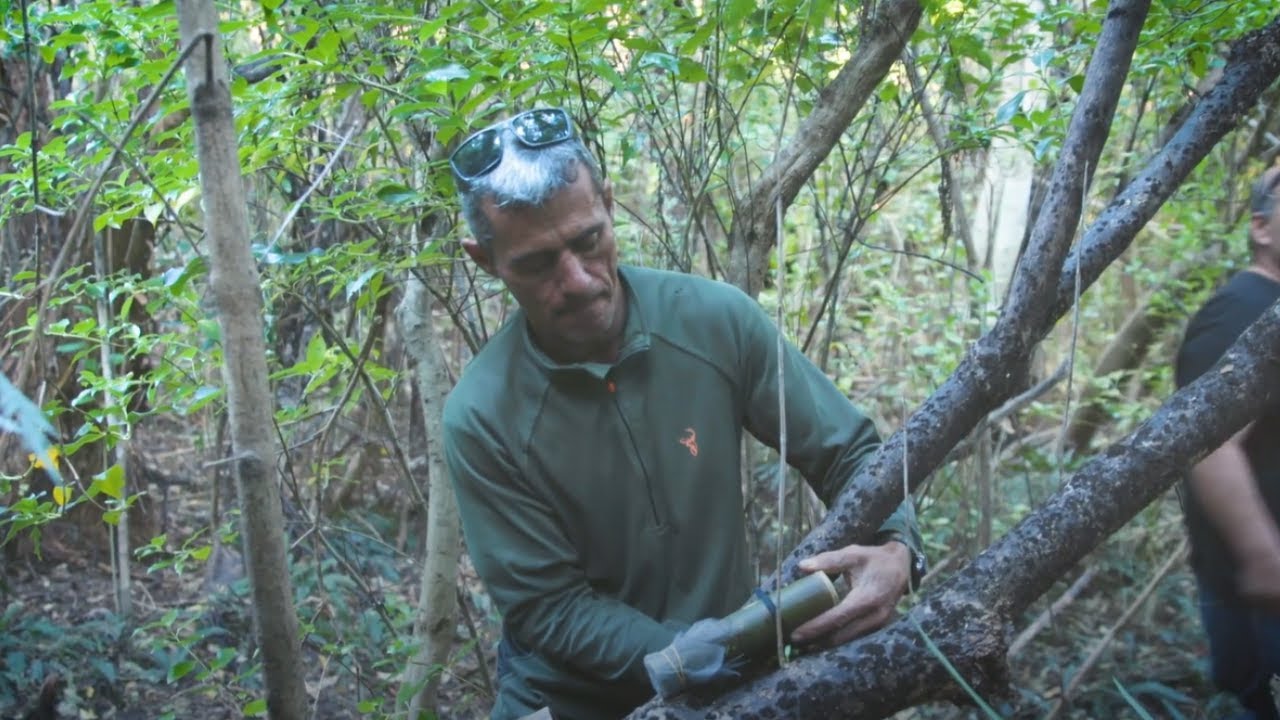 Predator Free Rākaumangamanga - Taking decades of pest control to the next level in Te Rawhiti