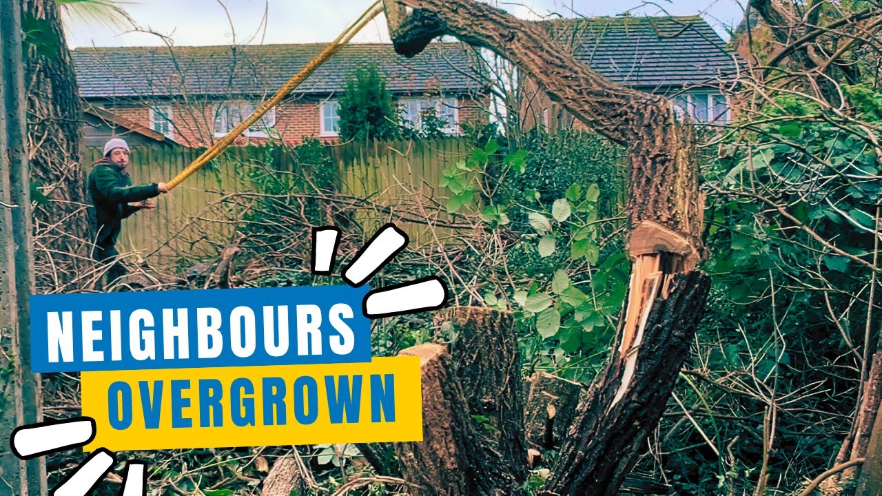 We Got NO Permission To Cut Down The NEIGHBOURS Overgrown Yard That Overflowed But We Did Anyway