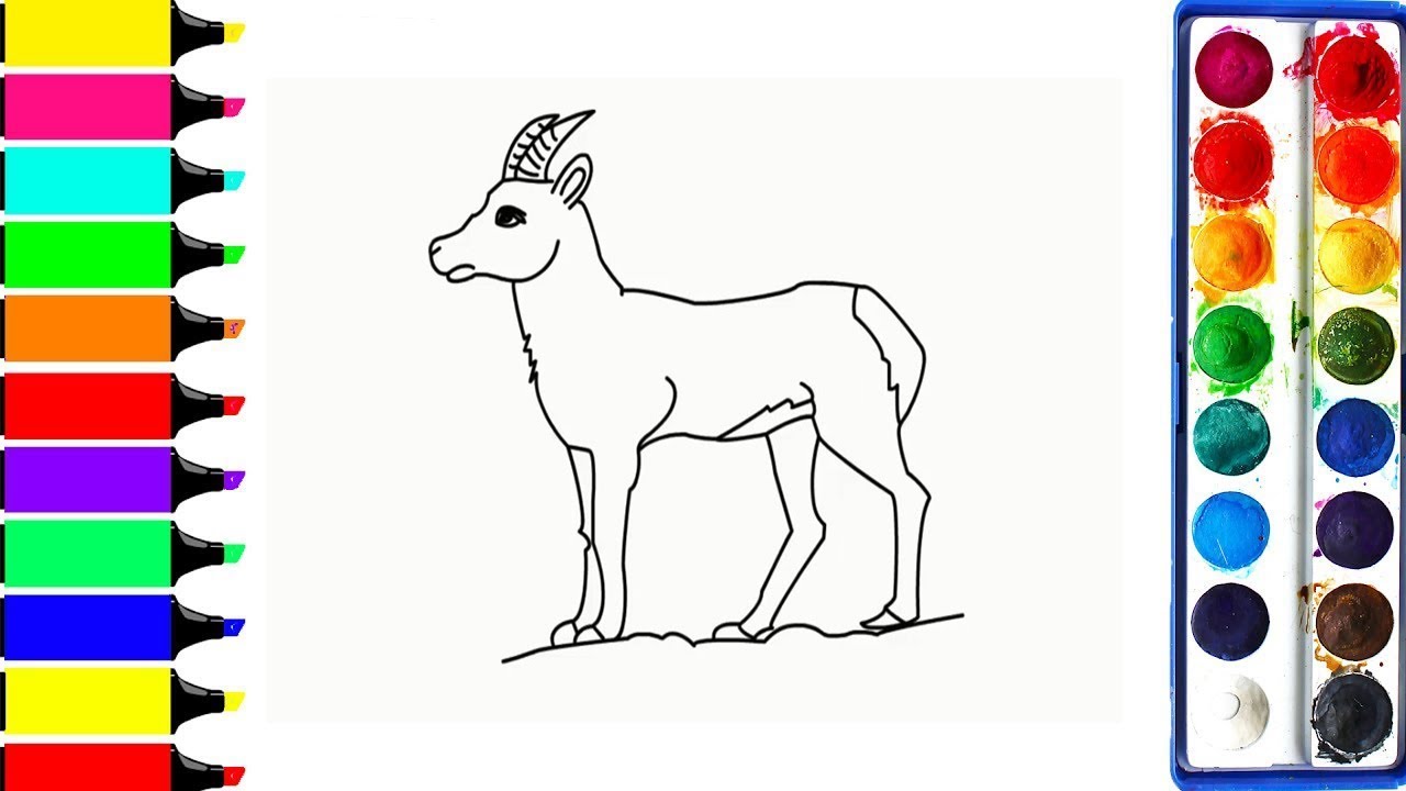 Drawing and Coloring a Goat   Learning Farm Animals Color Pages for Children
