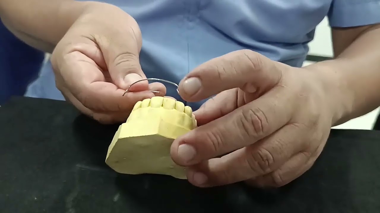 Arco de Hawley - (Dr. Cesar Cortez Sosa)