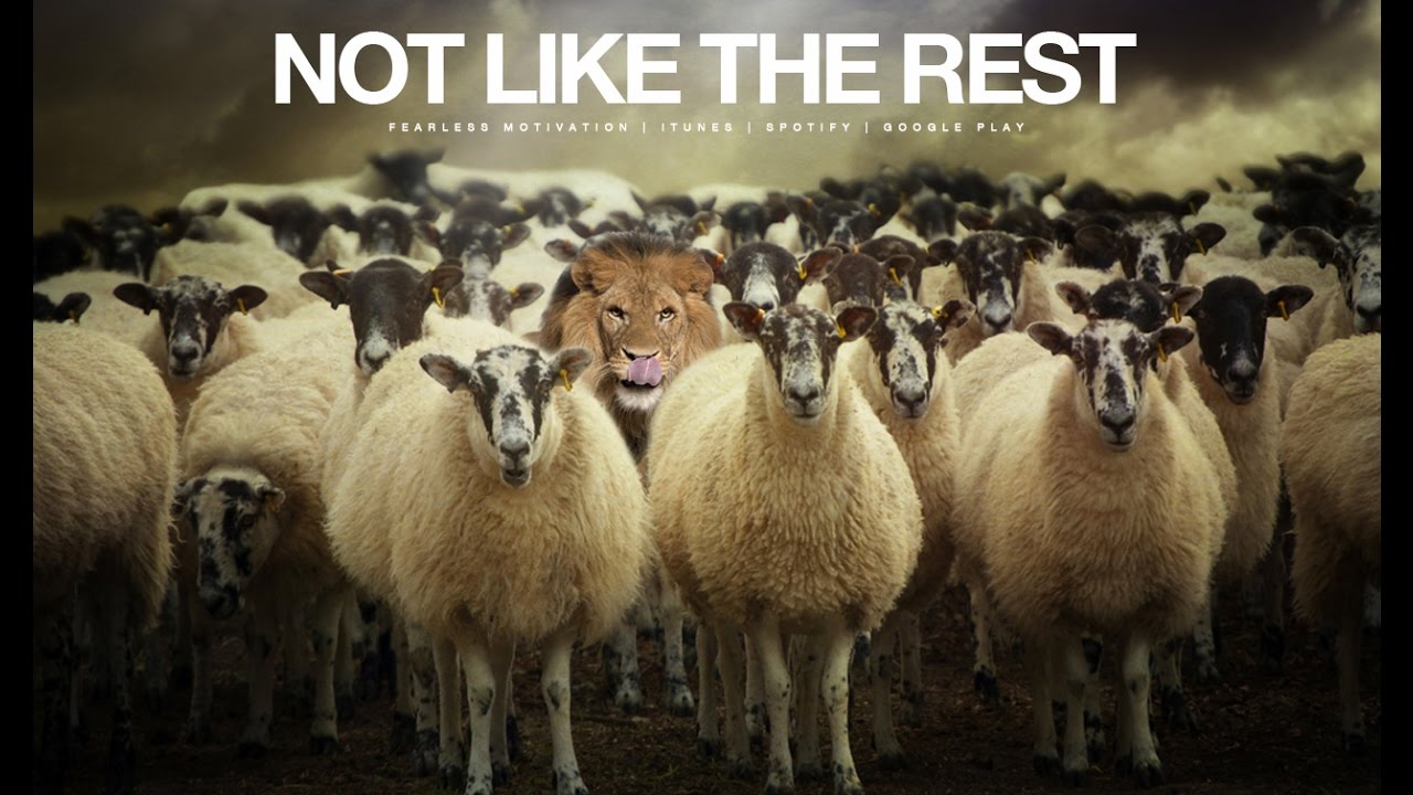 Not Like The Rest - Motivational Video (The Champion Mindset)
