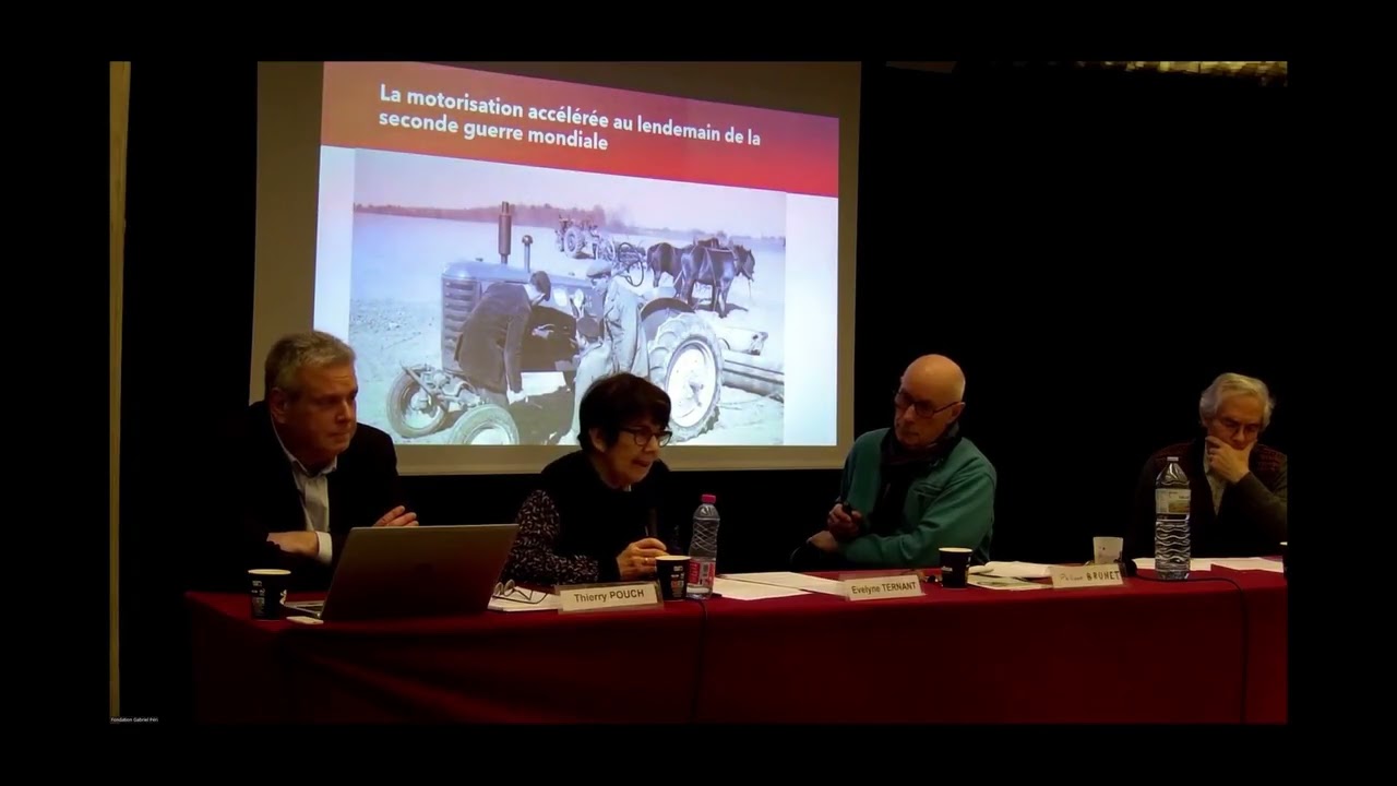 2.1. Evelyne Ternant: 