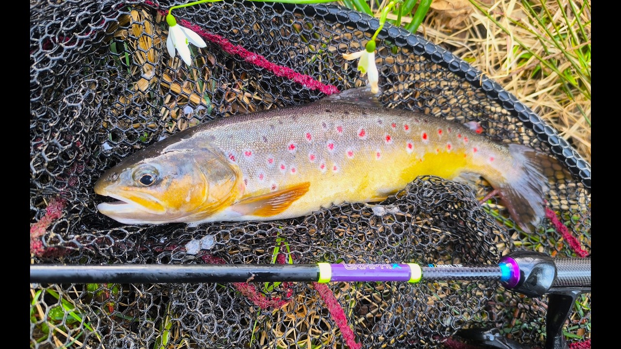 Trout Season Opening...on a Hidden Stream in a Karst Field