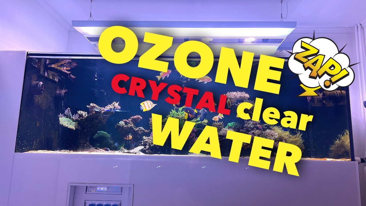 OZONE in reef tanks - it’s awesome