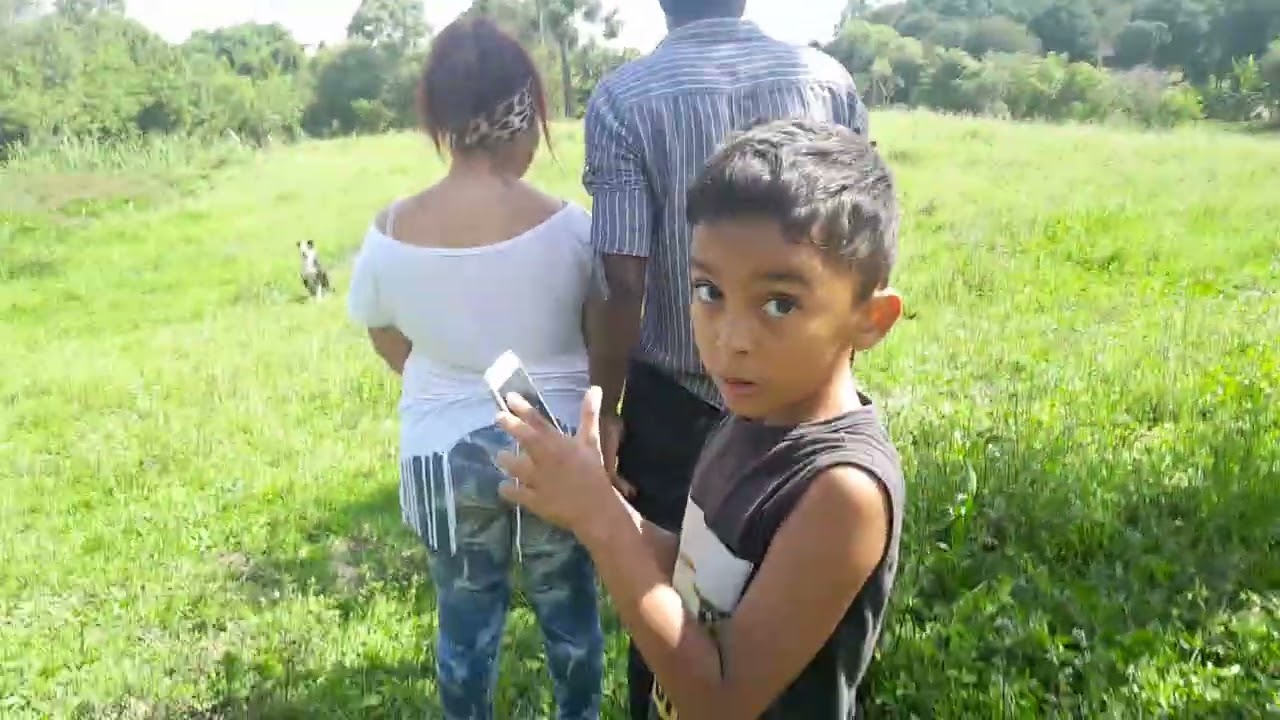 15 de fevereiro de 2026