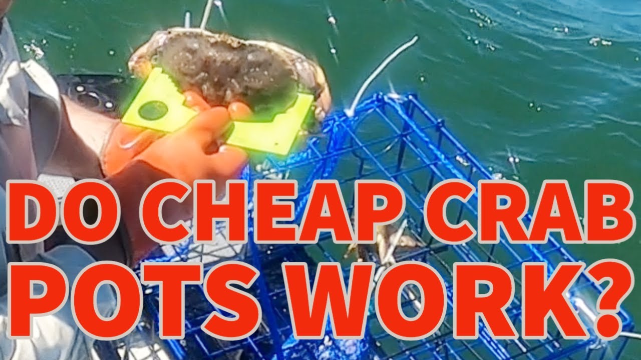 Do cheap crab pots work on Dungeness crab? Test with results.