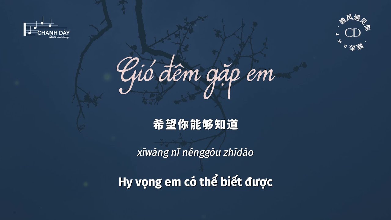 [Vietsub] Gió đêm gặp em (晚风遇见你) - Lục Kiệt awr (陆杰awr)