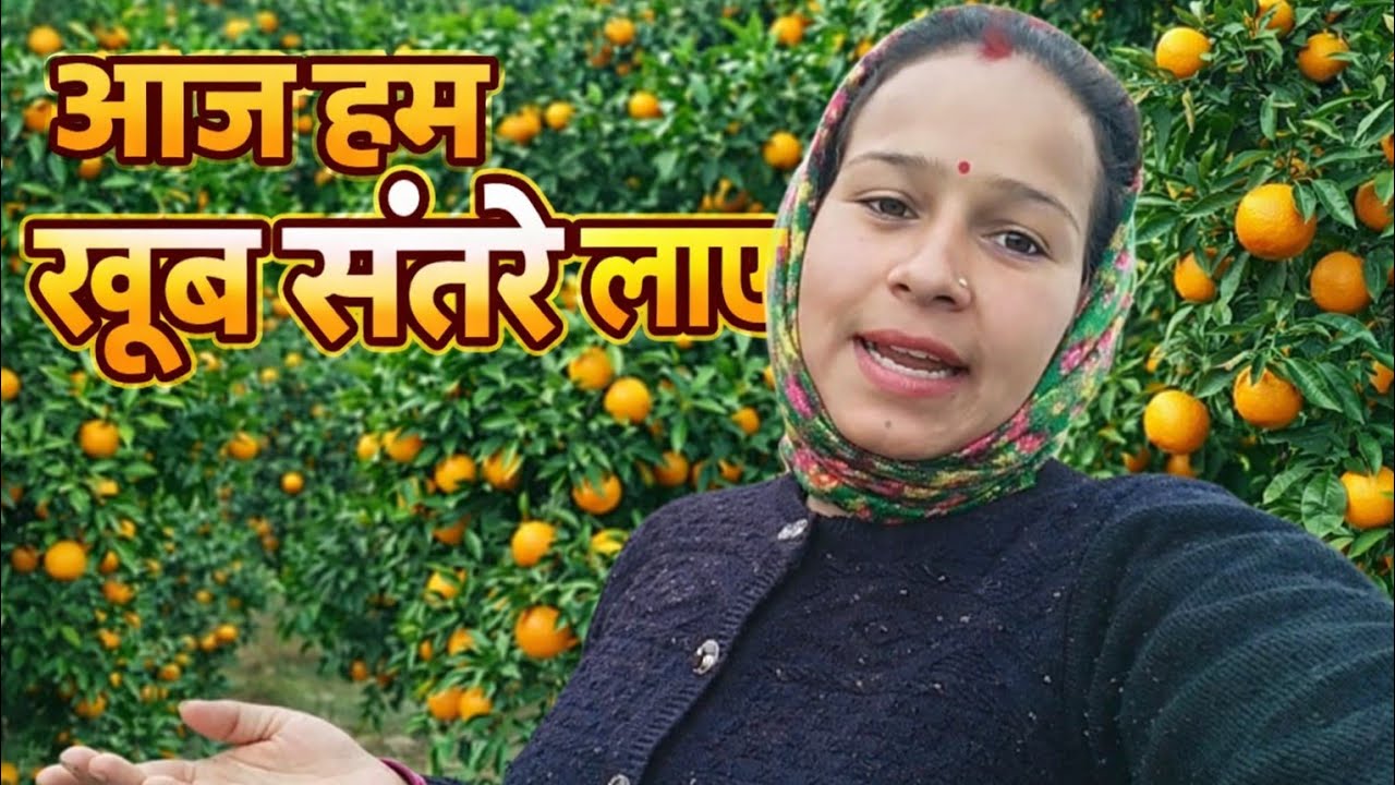 @आज संतरे भी ख़रीद लिया ll 👍#बहुत दूर जाना पड़ा #pahadi #lifestyle video Soni silori