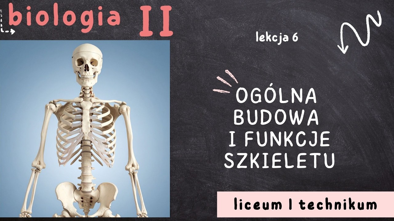 Biologia 2 LO [Lekcja 6: Ogólna budowa i funkcje szkieletu]