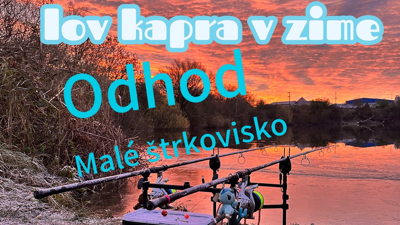 Lov kapra v zime | kapor v snehu | 2024 |