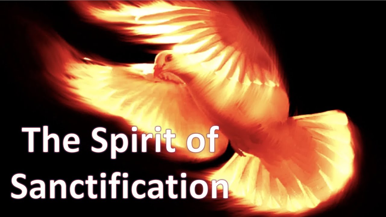 Why is the Holy Spirit the Only Member of the Trinity Who is Given the Designation 