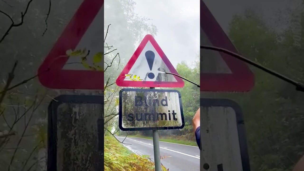 Cleaning Road Signs For Free! 🤩